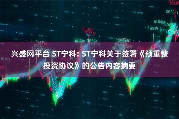 兴盛网平台 ST宁科: ST宁科关于签署《预重整投资协议》的公告内容摘要