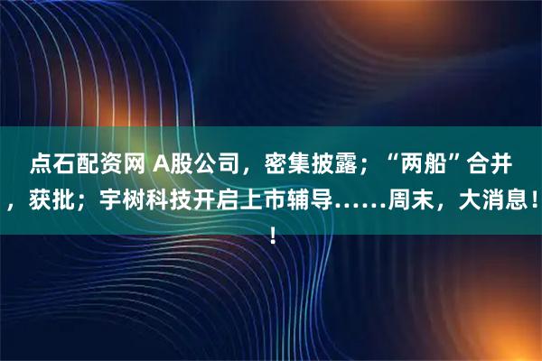 点石配资网 A股公司，密集披露；“两船”合并，获批；宇树科技开启上市辅导……周末，大消息！