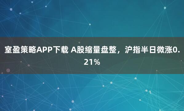 室盈策略APP下载 A股缩量盘整，沪指半日微涨0.21%
