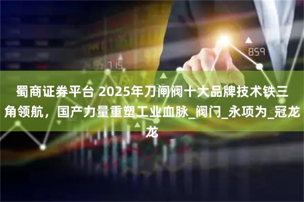 蜀商证券平台 2025年刀闸阀十大品牌技术铁三角领航，国产力量重塑工业血脉_阀门_永项为_冠龙