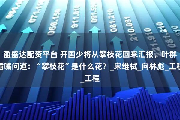 盈盛达配资平台 开国少将从攀枝花回来汇报，叶群插嘴问道：“攀枝花”是什么花？_宋维栻_向林彪_工程
