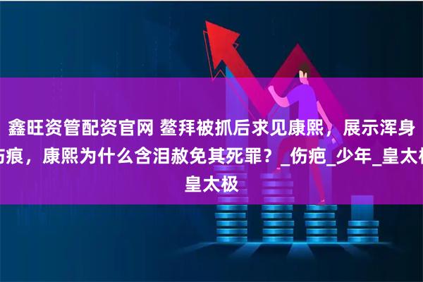 鑫旺资管配资官网 鳌拜被抓后求见康熙，展示浑身伤痕，康熙为什么含泪赦免其死罪？_伤疤_少年_皇太极