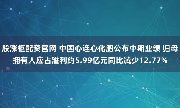 股涨柜配资官网 中国心连心化肥公布中期业绩 归母拥有人应占溢利约5.99亿元同比减少12.77%
